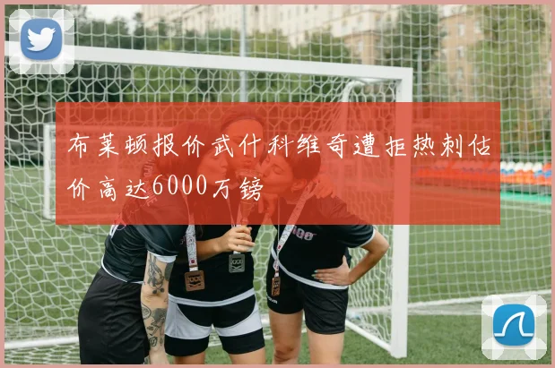 布莱顿报价武什科维奇遭拒热刺估价高达6000万镑