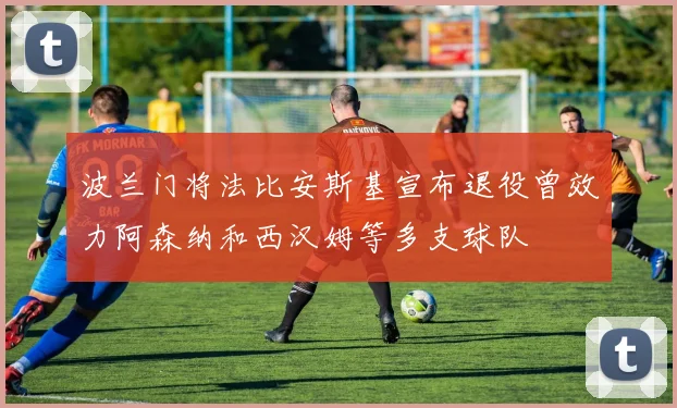 波兰门将法比安斯基宣布退役曾效力阿森纳和西汉姆等多支球队